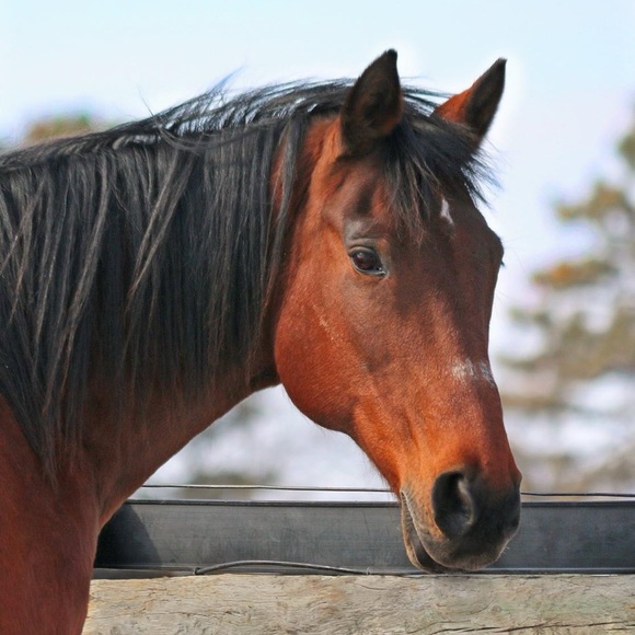 Meet your Posher, Christina - Picture 8 of 9